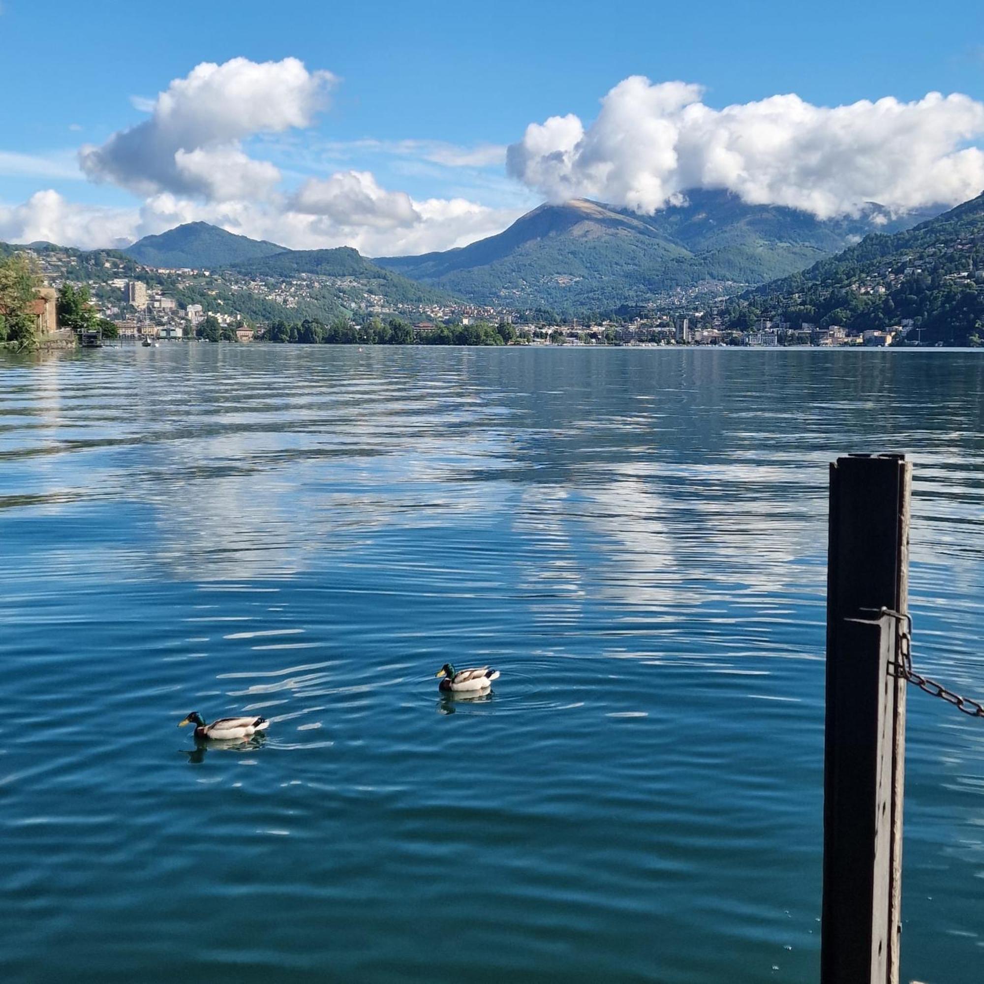 Dream Apartment Room Lake 3 帕拉迪索 外观 照片